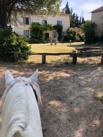 Le Mas Blanc Saint-Gilles (Gard) Exterior foto